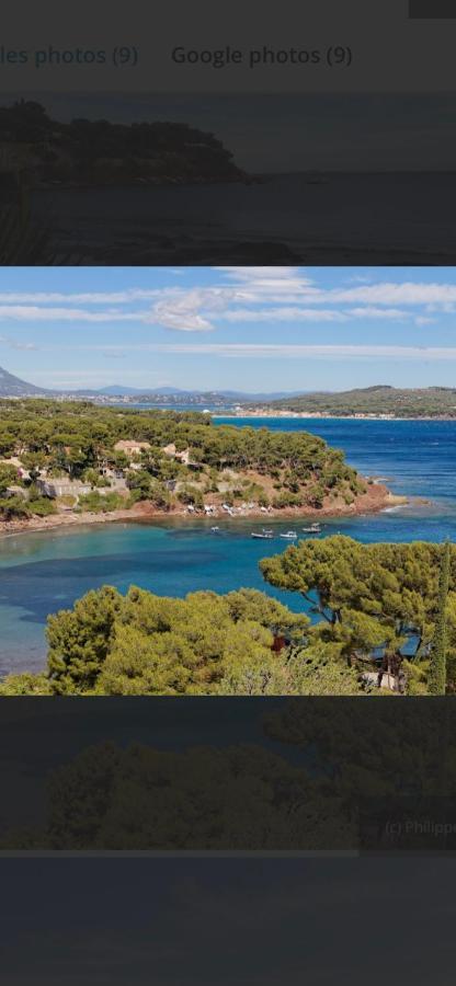 Charmant Studio Dans Villa - Jardin Privatif . La Seyne-sur-Mer Zewnętrze zdjęcie